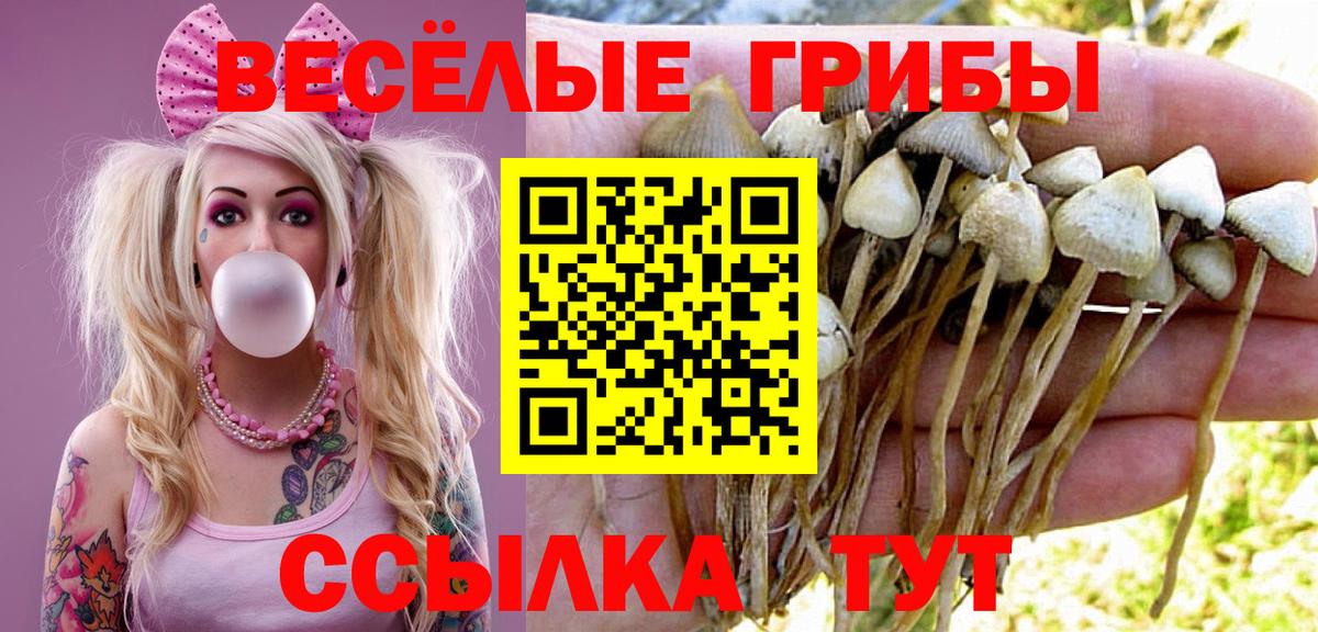 Асбест  Псилоцибиновые грибы GOLDEN TEACHER  Вход с VPN  Галлюциногенные грибы мухоморы 